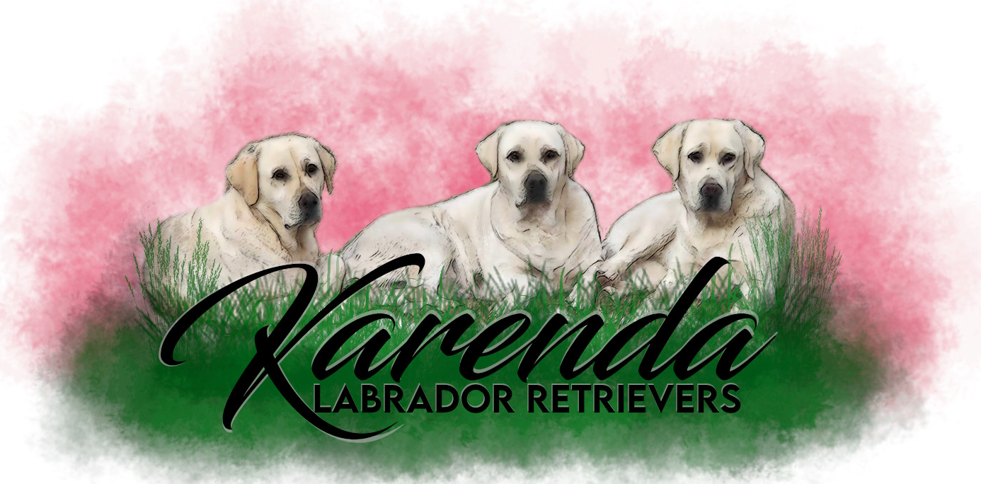 Karenda Labradors Logo